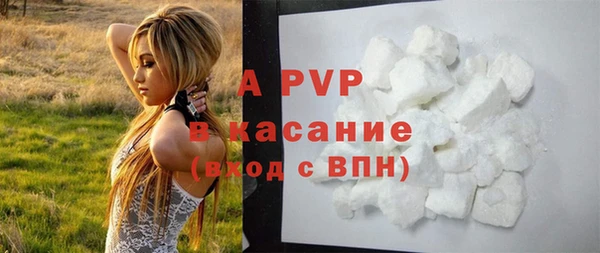 спайс Магас