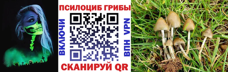 Галлюциногенные грибы Cubensis Каменск-Уральский